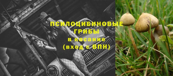 прущие крисы Абинск