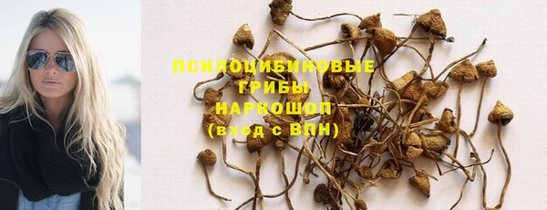 твердый Абаза