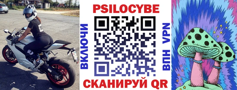 гидра как зайти Дивногорск Псилоцибиновые грибы Cubensis