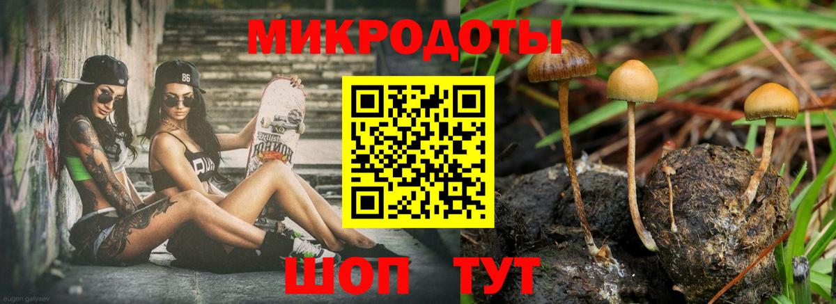 Дивногорск  Псилоцибиновые грибы GOLDEN TEACHER  Вход с VPN 